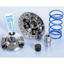 1011900 : Variateur Hi-Speed Polini Forza 125 300 NSS