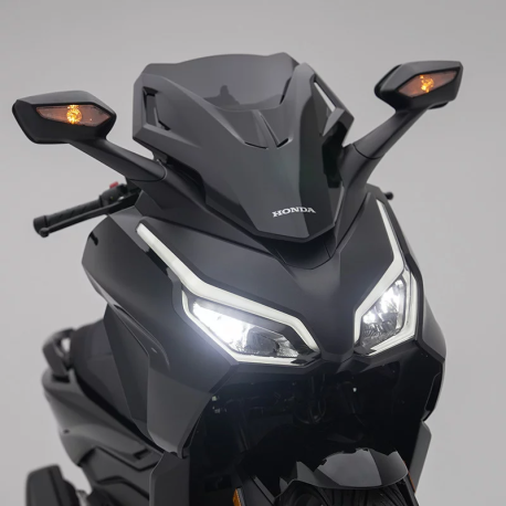 Bulle sport BCD Design 2021
