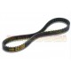 1036568 : Malossi X Special Reinforced Belt Forza 125 300 NSS