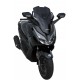 0301S96 : Sport-Scheibe Ermax Honda Forza 125