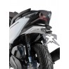 7701S96 : Ermax V3 Wheel Arch Honda Forza 125