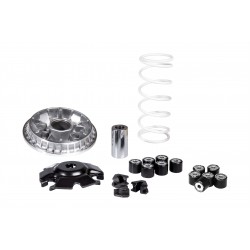 MA.5118776 : Malossi Variator 2021 Honda Forza 125