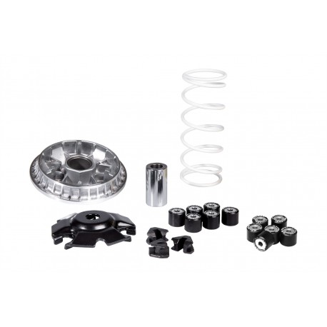 MA.5118776 : Malossi Variator 2021 Honda Forza 125