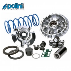 PO.241.755 : Polini variator V4 Forza 125 300 NSS