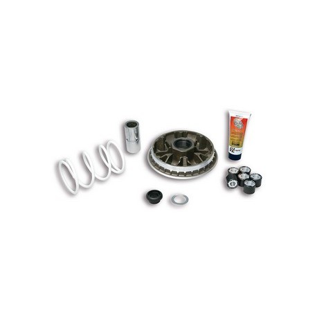 MA.5114192 : Malossi Variator 300 Forza 125 300 NSS