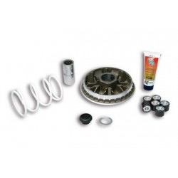 MA.5118980 : Malossi Variator 350 Forza 125 300 NSS