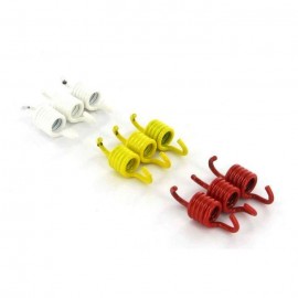 1007970 : Ressorts d'embrayage Racing Malossi Forza 125 300 NSS