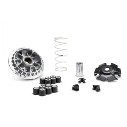 1128123 : Variador Multivar 2000 Malossi Honda Forza 125
