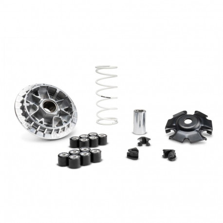 1128123 : Variator Multivar 2000 Malossi Forza 125 300 NSS