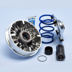 Polini 300 Variator