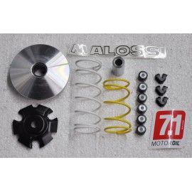 1129160 : Malossi Multivar Variator Honda Forza 125